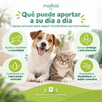Perro pequeño activo con el condroprotector Maikai Pets