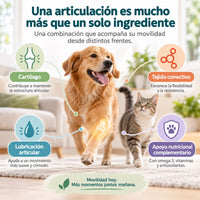 Condroprotector que ayuda a mantener la movilidad, el cartílago y la lubricación articular
