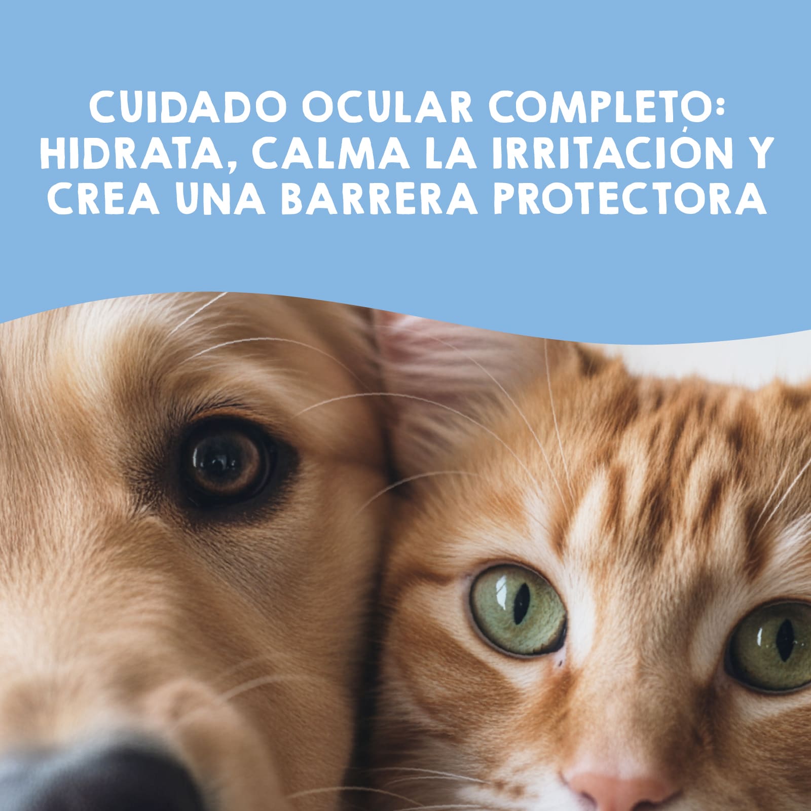 Cuidado ocular para perros y gatos con ojos sensibles de Maikai Pets.