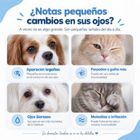 Cuándo usar el limpiador ocular en tu perro o gato