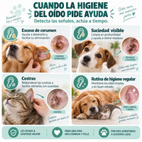 Perro durante la limpieza de oídos con el limpiador Maikai Pets
