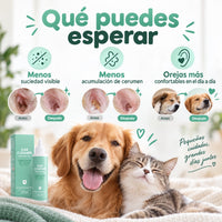 Qué esperar del uso regular del limpiador de oídos en perros y gatos