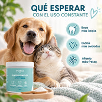 Qué esperar de Plaque Remover con uso constante: boca más limpia y aliento más fresco