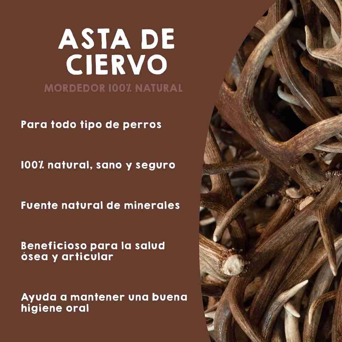 Juguetes de asta de ciervo para perros – mordedores naturales que fortalecen la dentadura y mantienen entretenida a tu mascota