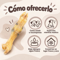 Cómo dar patitas de cordero a tu perro: como snack, con supervisión y agua fresca