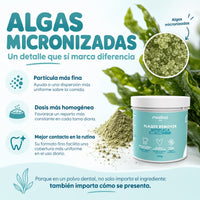 Placa y sarro en perros y gatos: fórmula con alga parda Ascophyllum nodosum