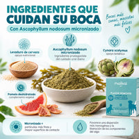 Ingredientes naturales de Plaque Remover para perros y gatos, con alga parda