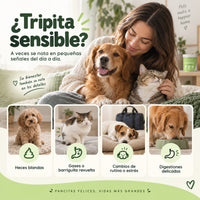 Probiótico que ayuda a mantener una microbiota intestinal equilibrada en perros y gatos