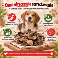 Cómo dar pulmón de ternera a tu perro o gato correctamente