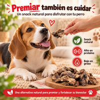 Perro recibiendo un premio natural de pulmón de ternera deshidratado