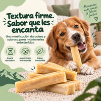 Queso del Himalaya para perros, fuente de calcio y proteína