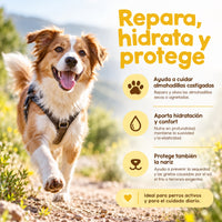 Beneficios del reparador para las almohadillas y la nariz de los perros