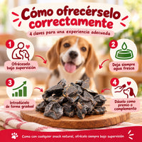 Cómo dar higaditos de ternera a tu perro o gato de forma correcta