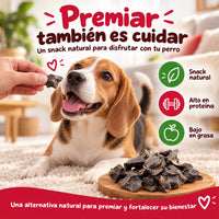 Perro recibiendo un premio natural de hígado de ternera deshidratado