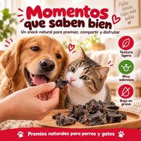 Perro y gato compartiendo un premio natural de hígado de ternera Maikai Pets