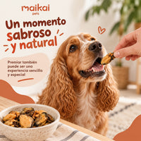 Perro comiendo un mejillón de labio verde deshidratado