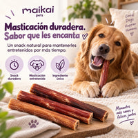 Perro disfrutando de un nervio de toro deshidratado, snack de masticación duradera