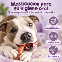 Perro masticando un nervio de toro: masticación que ayuda a su higiene oral