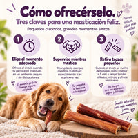 Cómo dar nervios de toro a tu perro: momento adecuado, supervisión y retirar los trozos pequeños