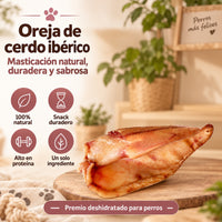 Orejas de cerdo deshidratadas