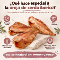 Orejas de cerdo deshidratadas