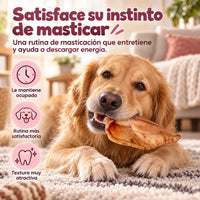 Orejas de cerdo deshidratadas