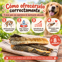 Cómo dar rollitos de piel de salmón a tu perro o gato correctamente