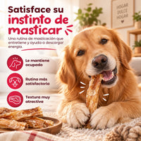 Perro masticando un tendón de ternera, snack que satisface su instinto de masticar