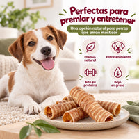 Perro con una tráquea de ternera, premio natural para premiar y entretener