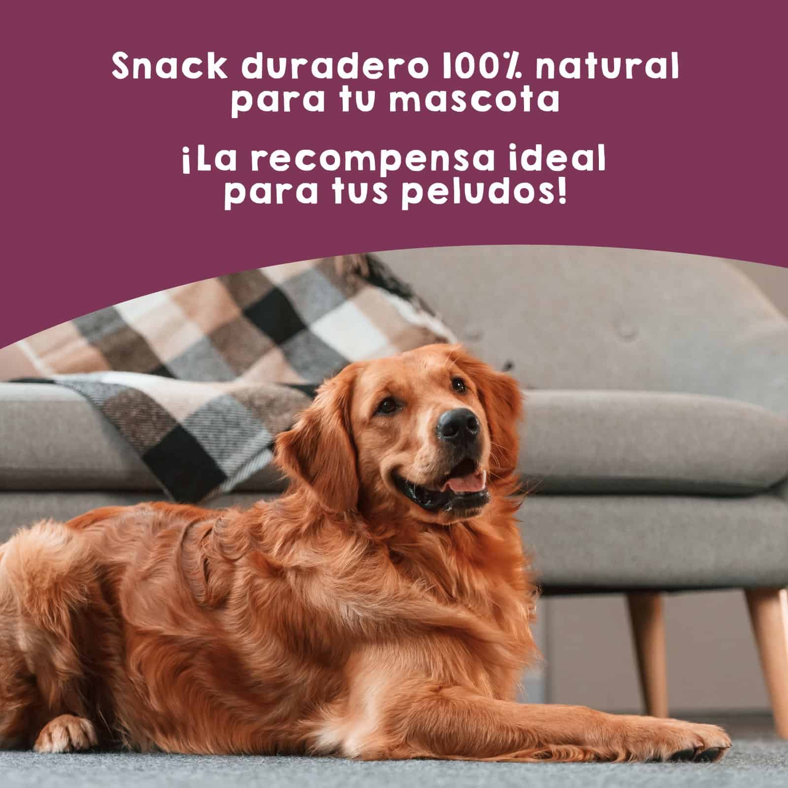 Snacks de tráquea de vaca deshidratada Maikai Pets para perros, 100% naturales, ricos en proteínas y duraderos, perfectos para cuidar dientes y encías mientras se divierten.
