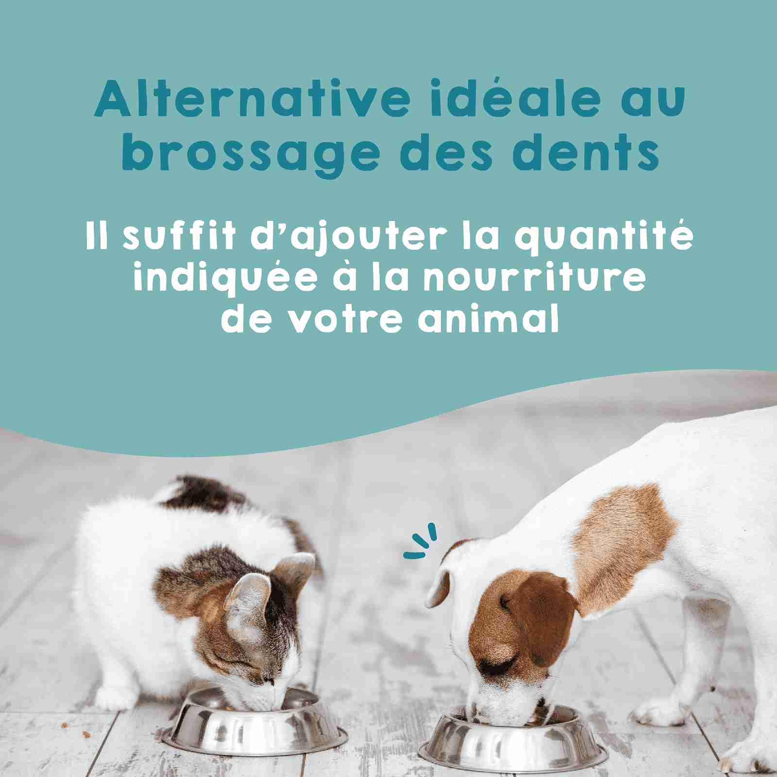 Antitartre naturel pour chiens et chats, éliminateur de plaque dentaire