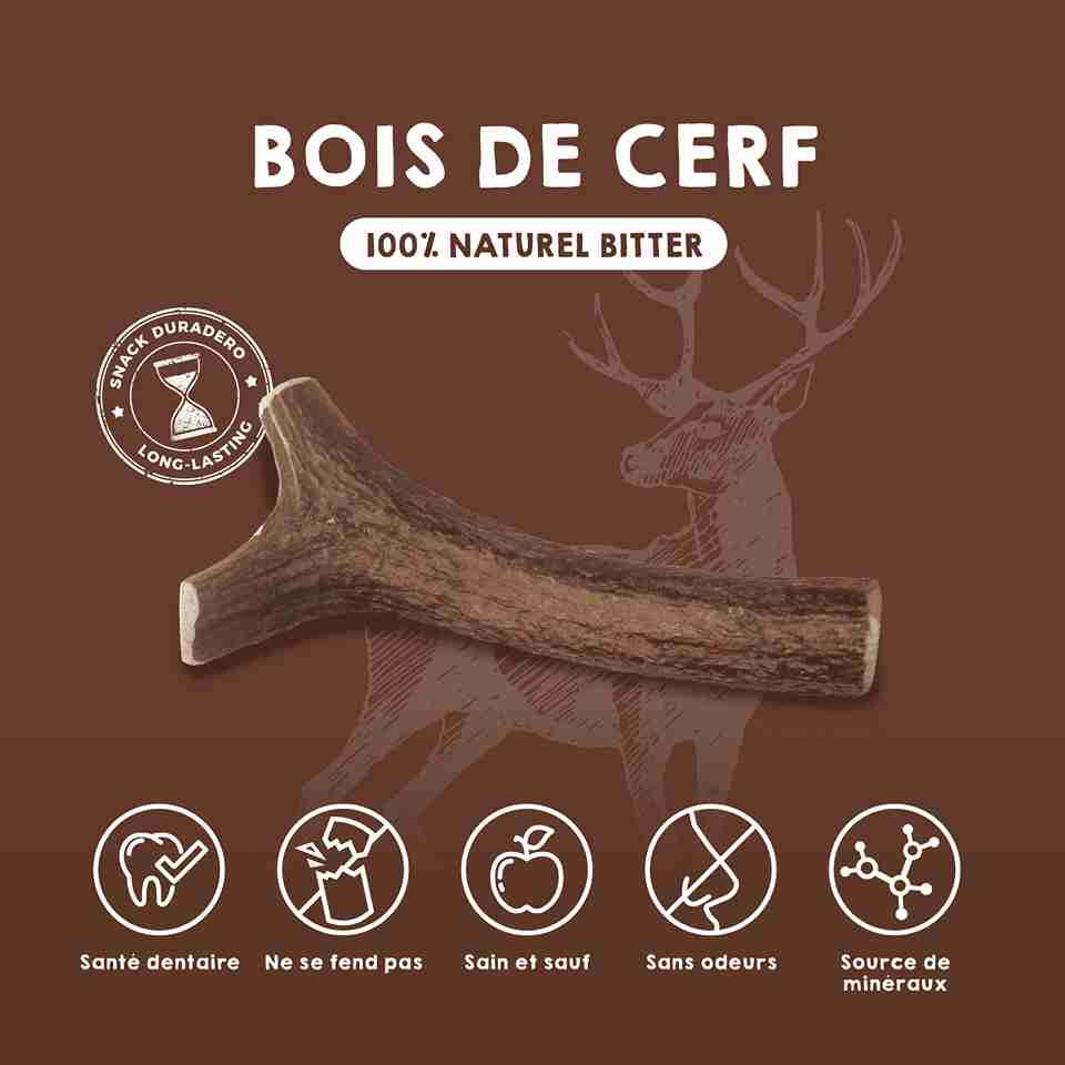 Bois de cerf pour chiens