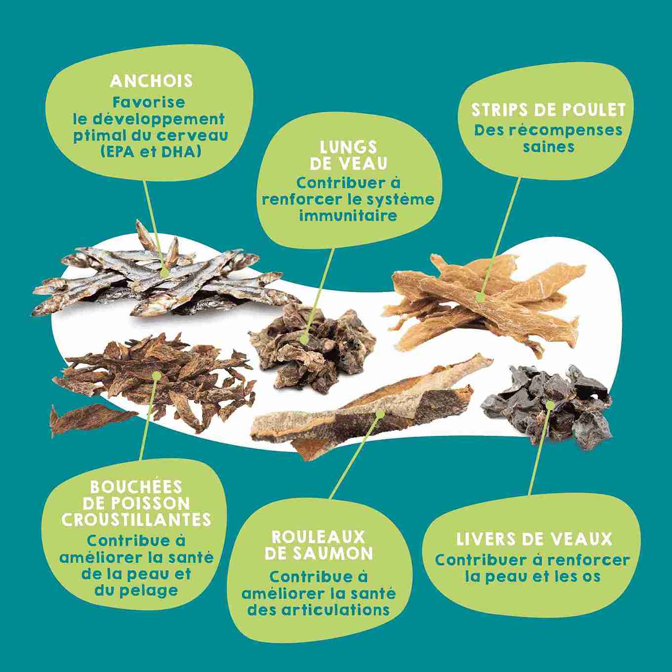 Boîte de friandises déshydratées et huile de saumon pour chiens et chats.