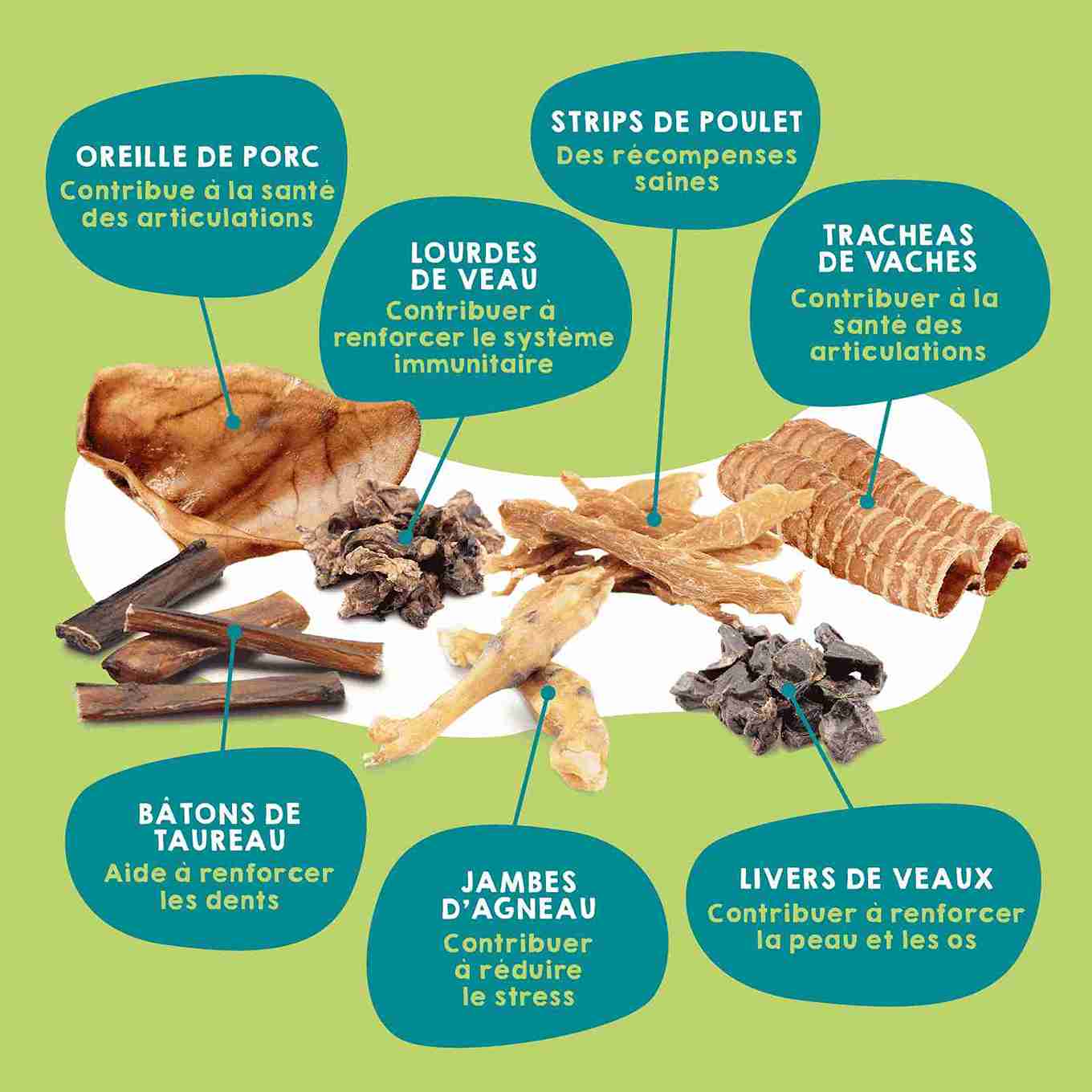 Boîte de friandises déshydratées et huile de saumon pour chiens.