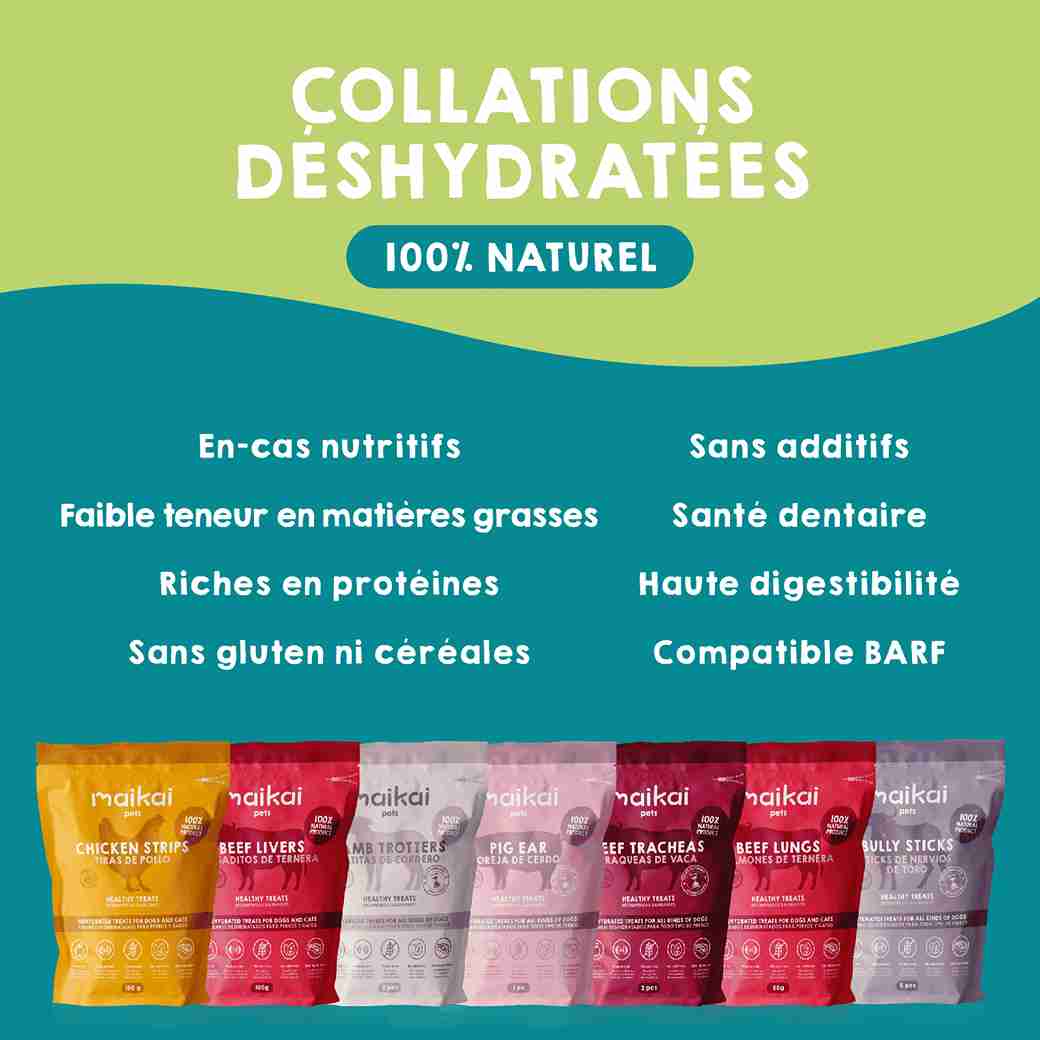 Boîte de snacks déshydratés et huile de saumon pour chiens.