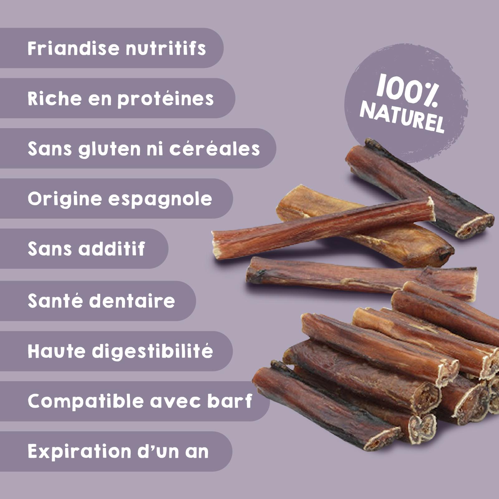 Friandise naturelle de tendon de taureau déshydraté pour chiens