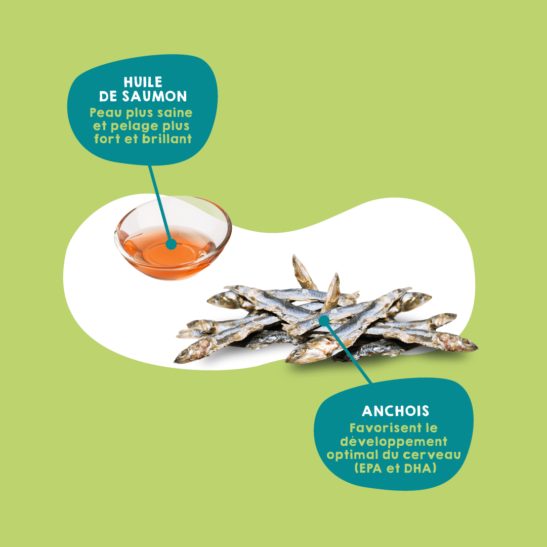 Friandises aux anchois et huile de saumon pour chiens et chats.