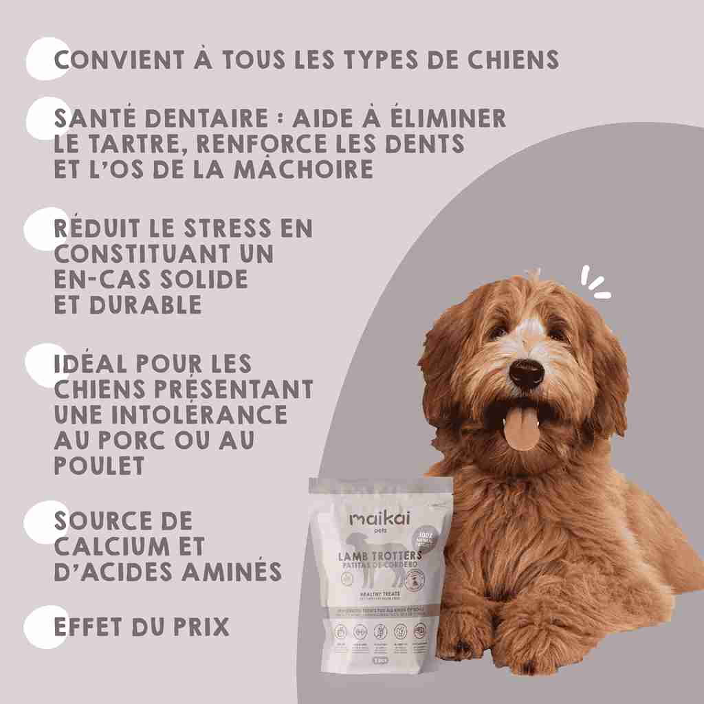 Friandises naturelles de pattes d’agneau pour chiens