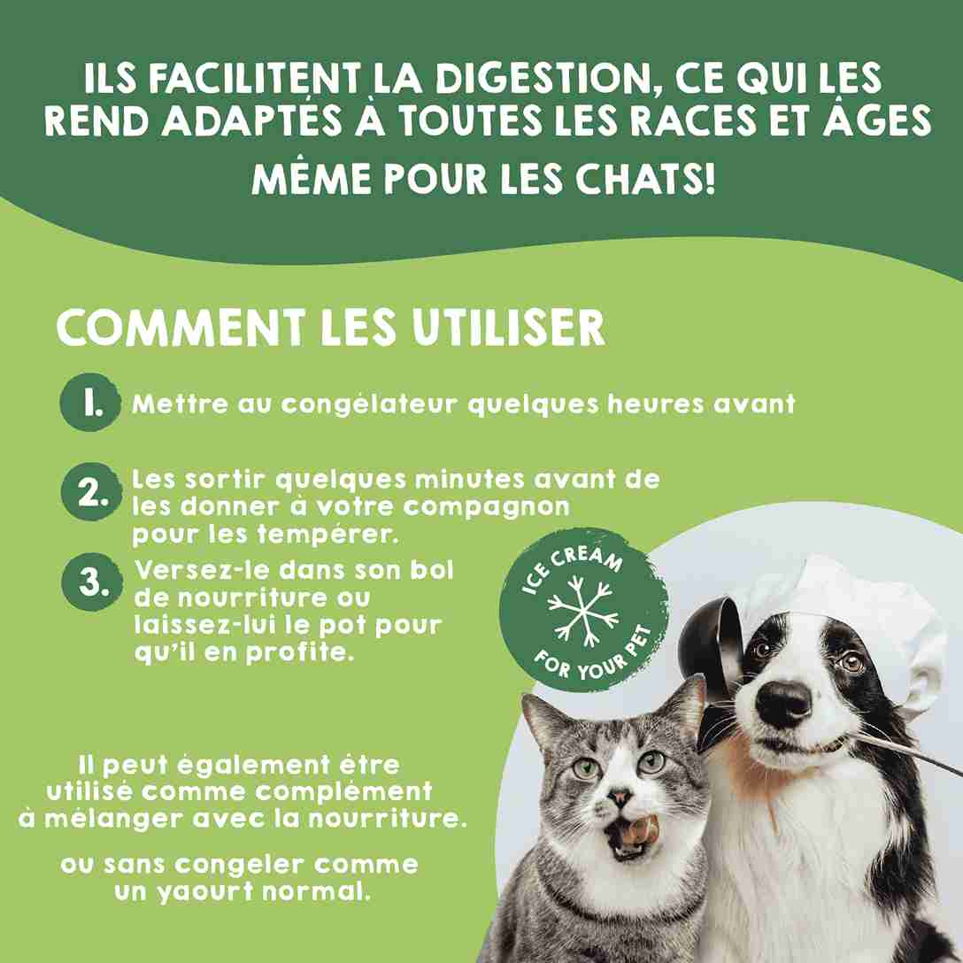Glaces pour chiens et chats, 4 unités.