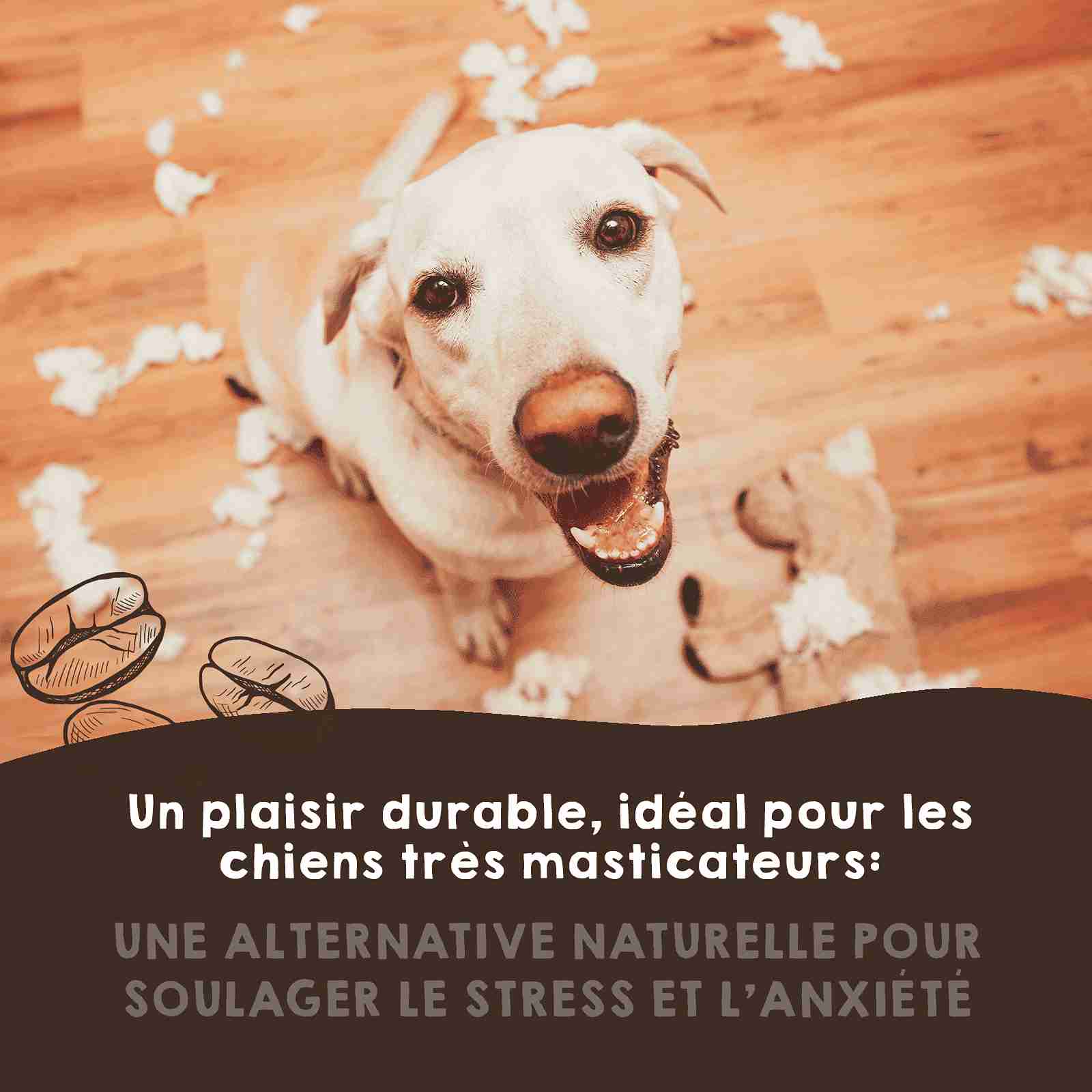 Jouets à mâcher en bois de café pour chiens.