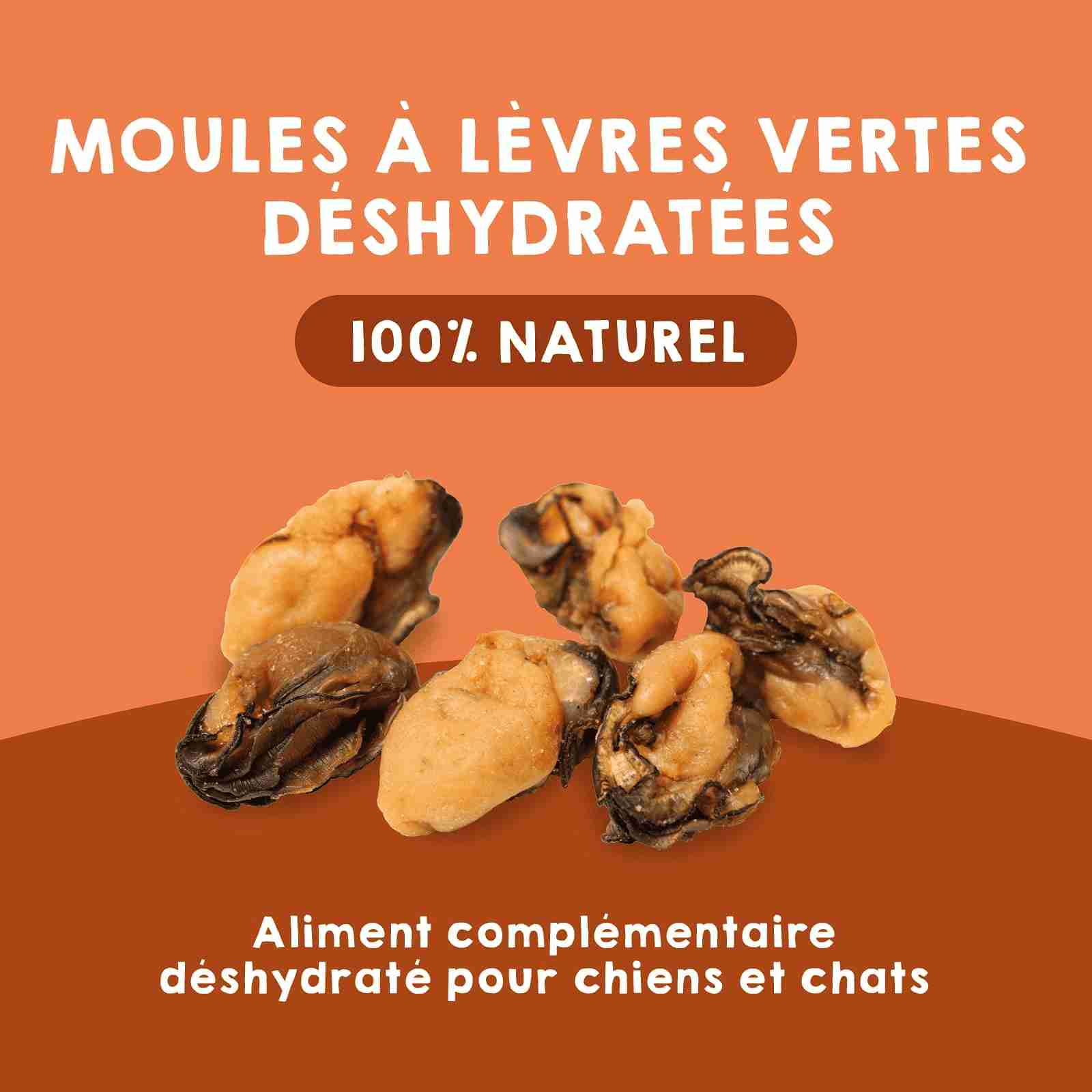 Moules à lèvre verte déshydratées comme friandises pour chiens et chats