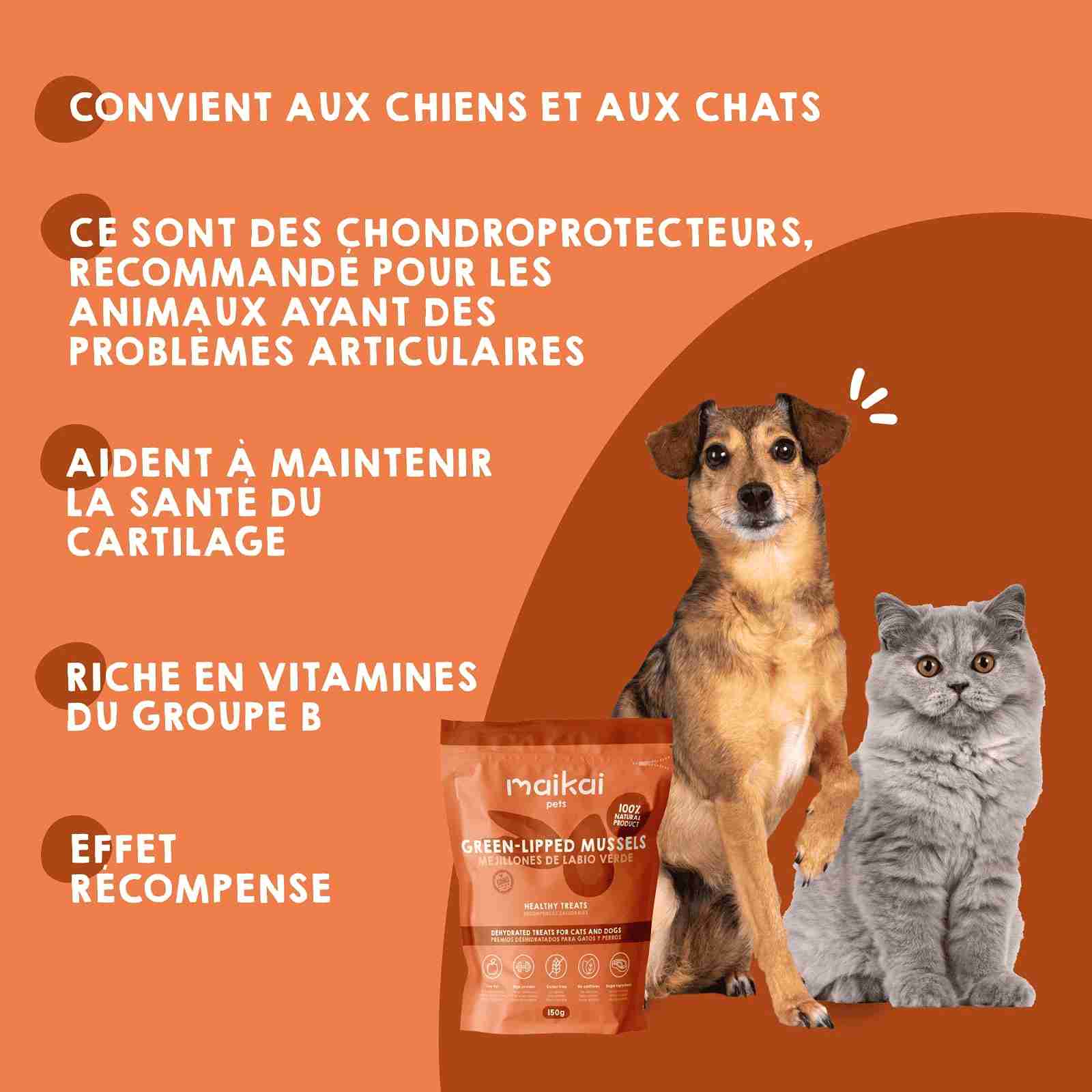 Moules à lèvre verte naturelles comme friandises pour chiens et chats