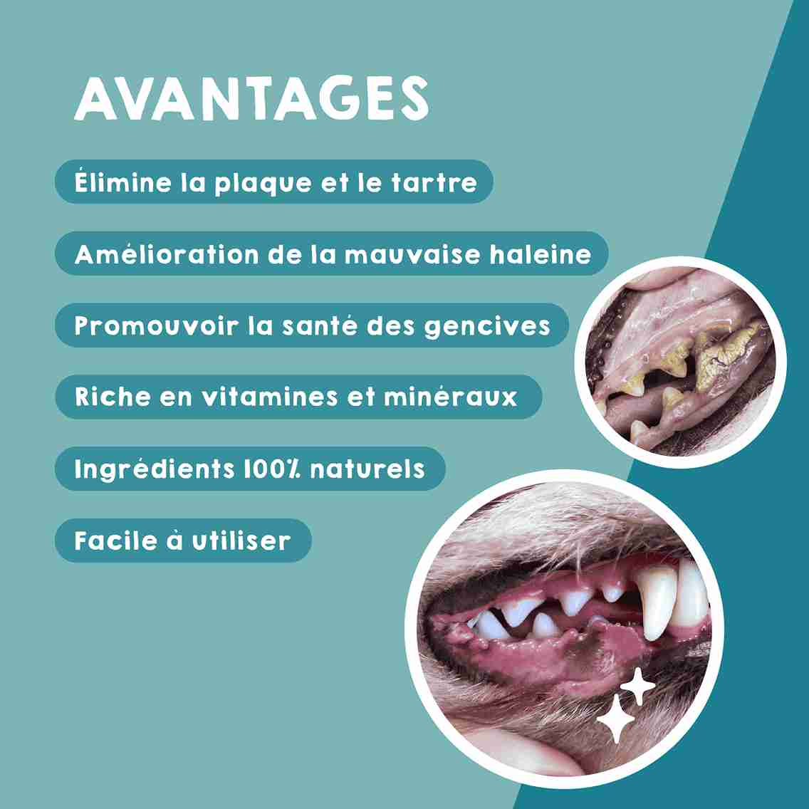 Nettoyant dentaire pour chiens et chats, éliminateur de plaque dentaire