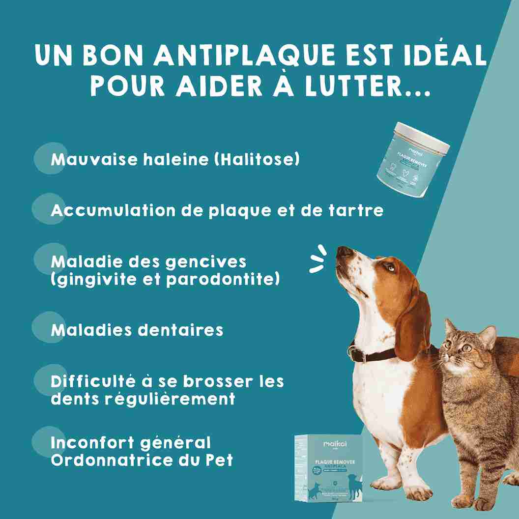 Nettoyant dentaire pour chiens, éliminateur de plaque dentaire