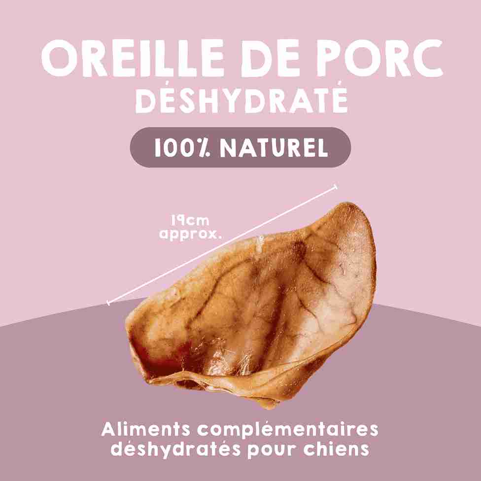 Oreilles de porc naturelles pour chiens