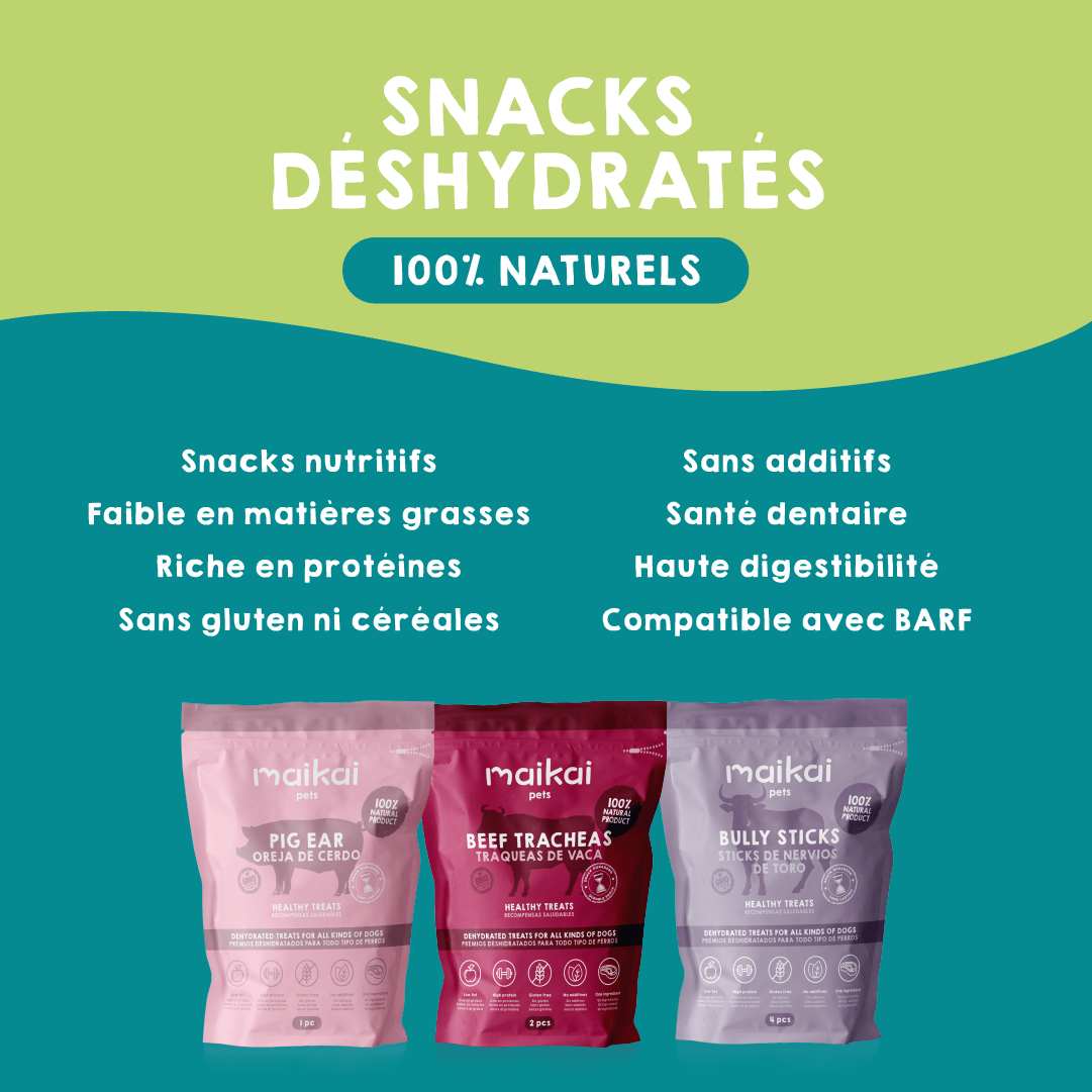 Pack de friandises naturelles pour chiens de grande race.