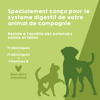 Probiotiques naturels pour les diarrhees et la digestion des chiens