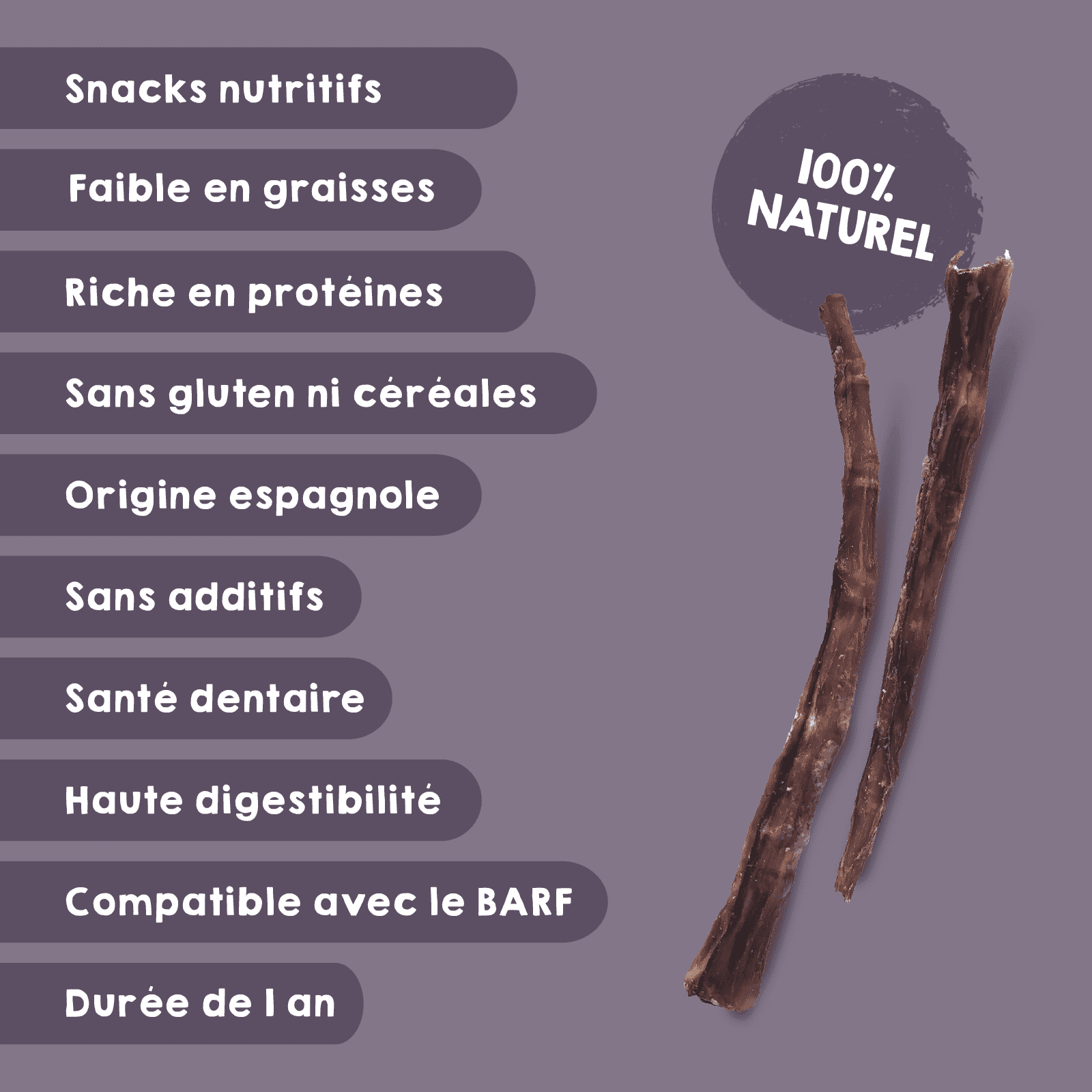 Queue de taureau déshydratée comme friandise naturelle pour chiens