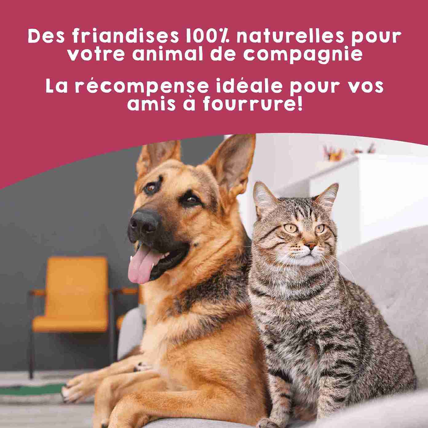 Récompenses naturelles de foies de veau déshydratés pour chiens et chats