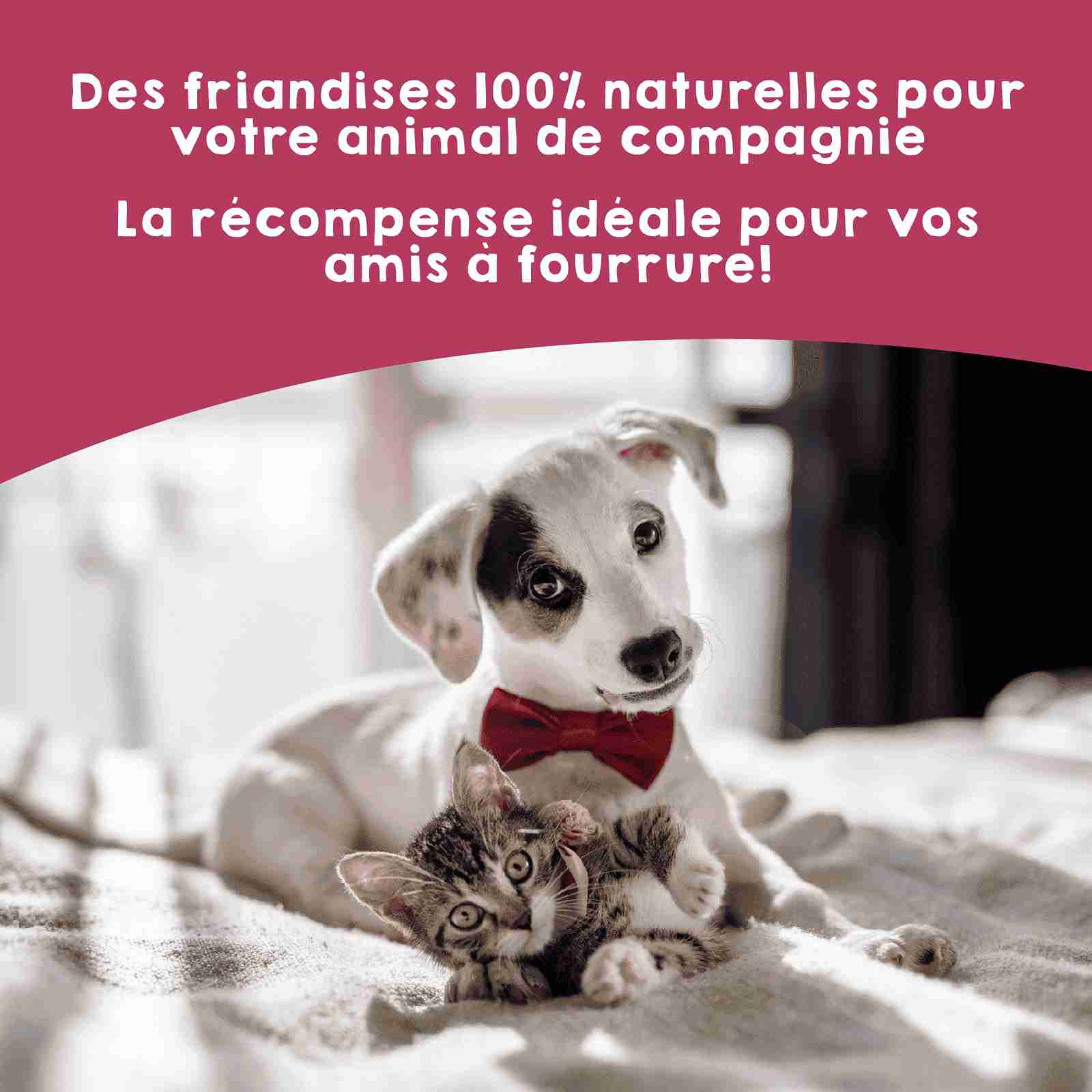Récompenses naturelles de poumons de veau déshydratés pour chiens et chats
